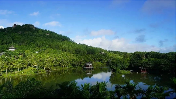 1688518892358104.png image.png