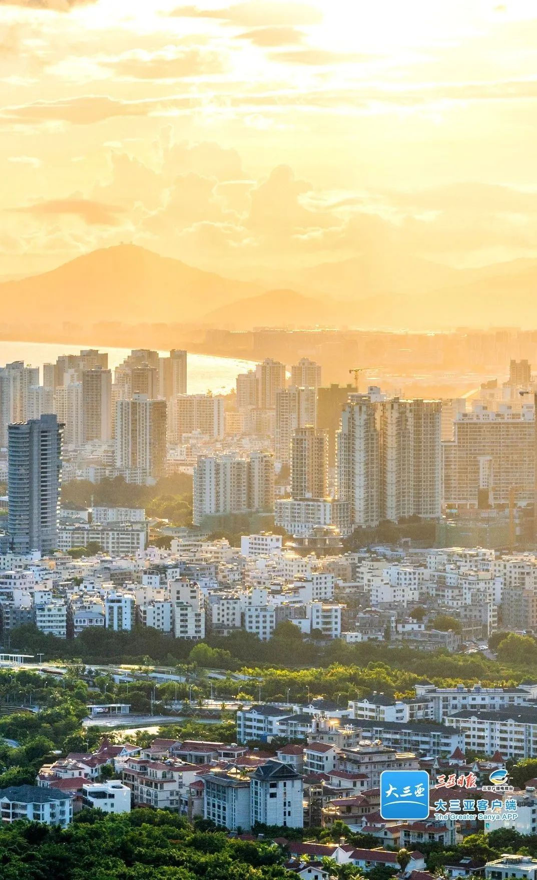 1716370348631740.jpg 640.jpg