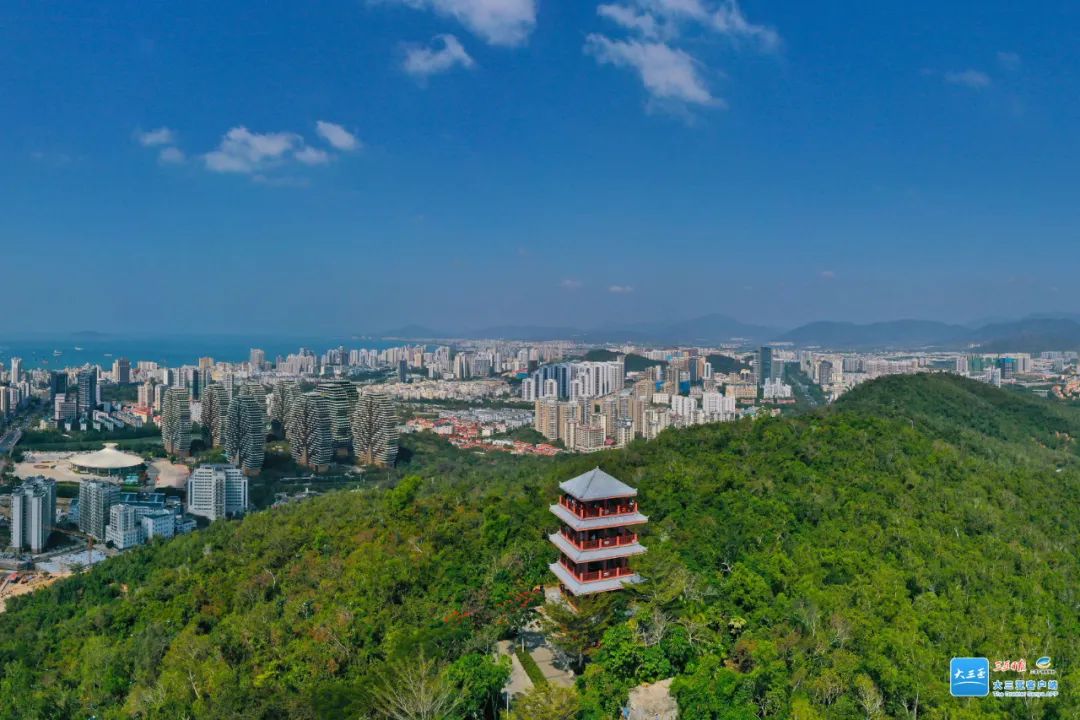 1716370702963506.jpg 640 (5).jpg