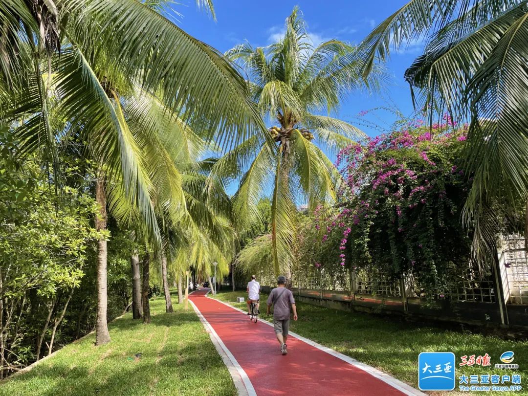 1716370745627149.jpg 640 (7).jpg