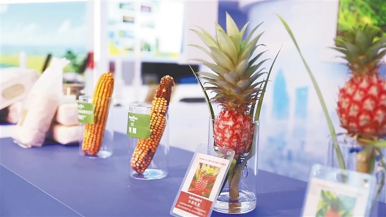 1730882707636479.jpg 2.jpg