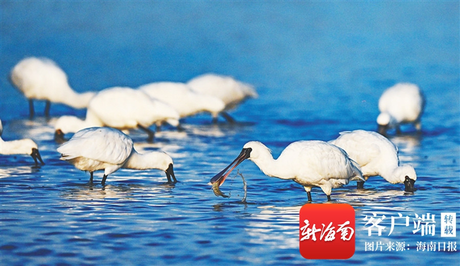 1763427779753738.jpg 3694e7fb2fbd9b7cbf792be269a9fddb_IMG_57b100025b0c48d0bbee3c370fbb67fc.jpg